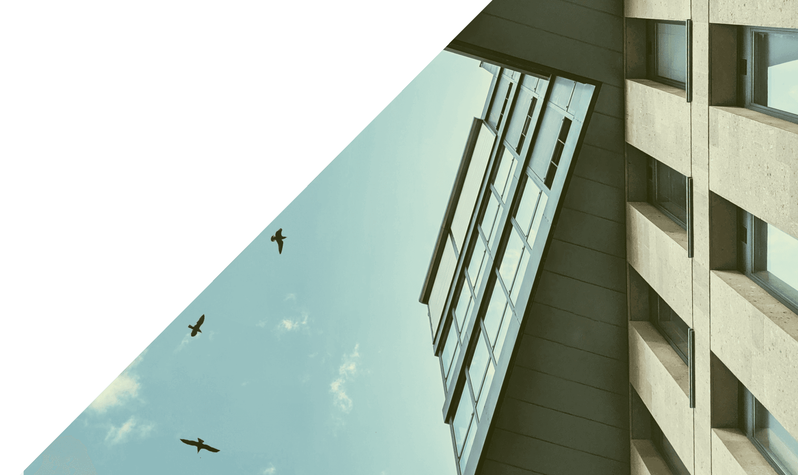 Photographie d'un immeuble financé via la plateforme d'investissement immobilier Baltis